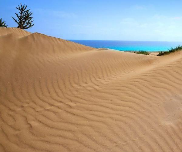 Sol Y Sal Con Vista A La Piscina (Adults Only) Corralejo Ngoại thất bức ảnh